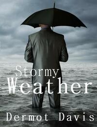 Stormy Weather by Dermot Davis