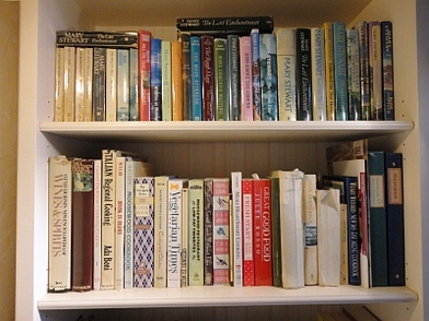 My book shelves